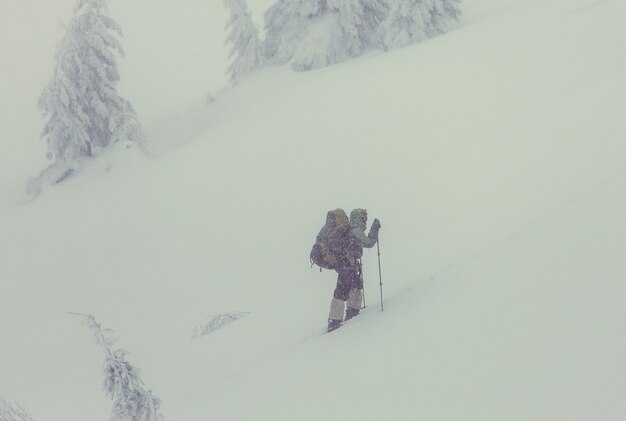 Hikers in the winter mountains