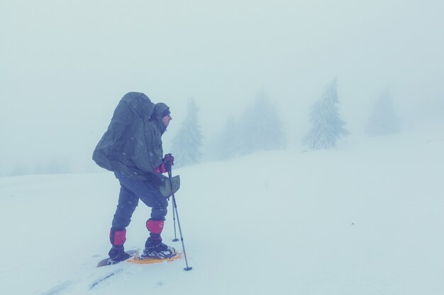 Hikers in the winter mountains