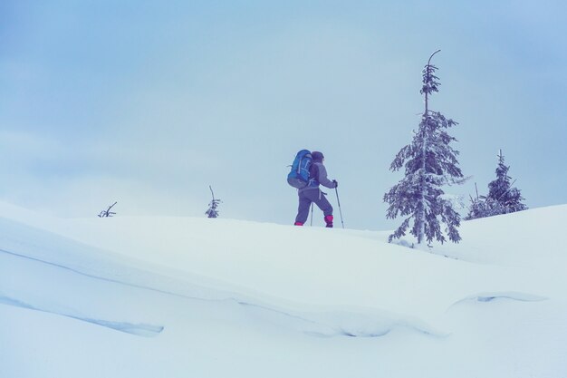 Escursionisti in montagna d'inverno