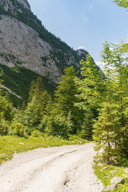 Photo hiking in austria