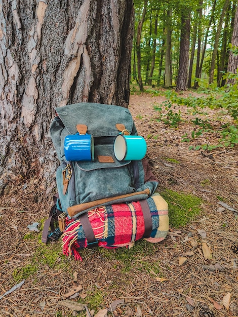 Photo hiking backpack in forest on the ground