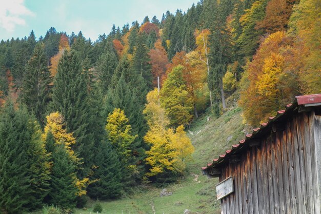 Photo hiking in bavaria