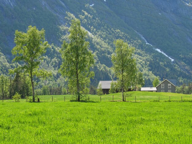 hiking in eidfjord norway