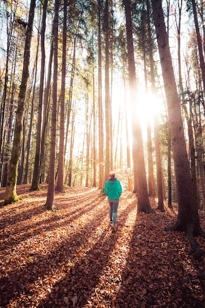 Hiking in the forest autumn time Girl is walking in autumnal forest colorful leaves and sunbeam