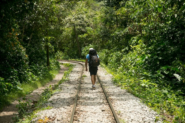 Santa Teresa Hidroelctrica에서 Aguas Calientes까지 하이킹하여 Machu Picchu에 도착합니다.