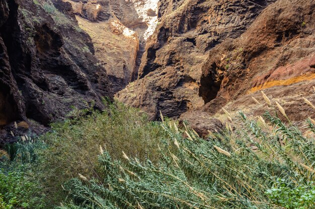 Hiking in Gorge Masca. Volcanic island. Mountains of the island of Tenerife, Canary Island, Spain.