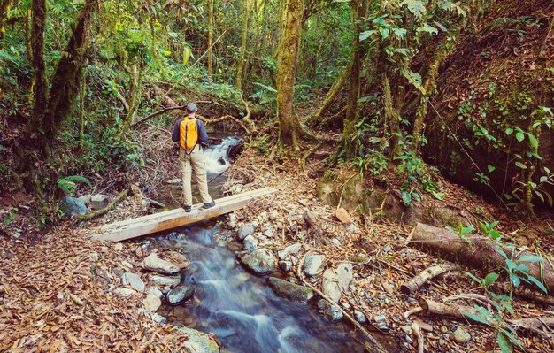 Hiking in green tropical jungle, Costa Rica, Central America