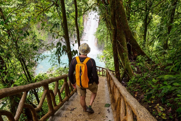 Hiking in green tropical jungle, Costa Rica, Central America