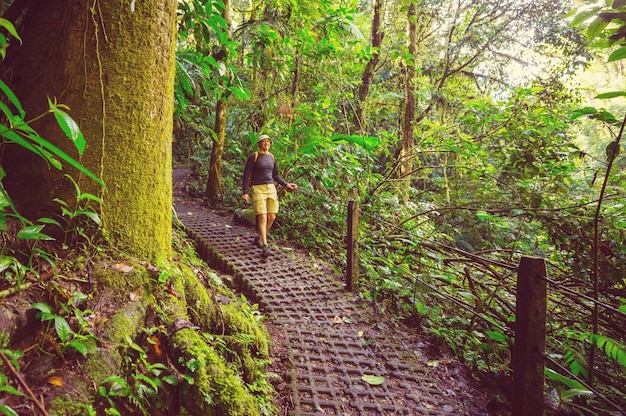 Hiking in green tropical jungle, Costa Rica, Central America