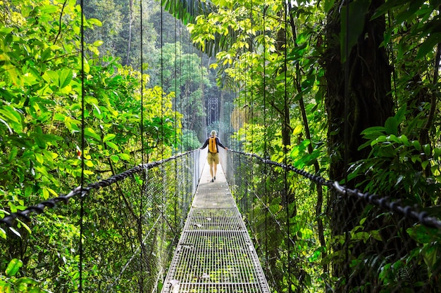 Escursioni nella verde giungla tropicale, costa rica, america centrale