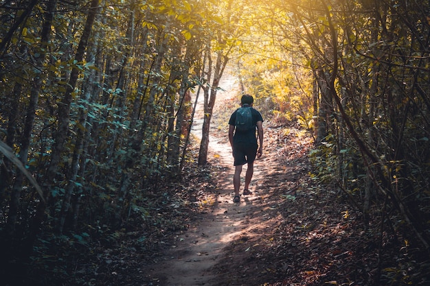 Hiking man walking  in the mountains Travel Lifestyle concept on background Summer expedit