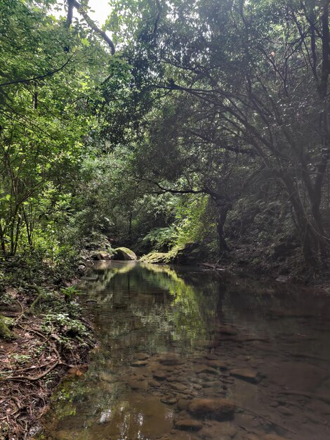 Foto un'escursione in montagna vicino a un fiume