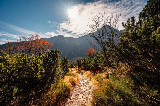 Hiking in national park High Tatras HiIking from biele pleso to Zelene pleso in the mountain Vysoke Tatry Slovakia Beautiful