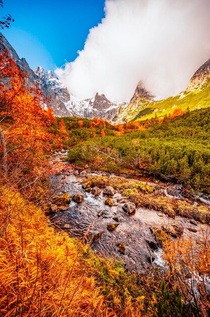 Hiking in national park high tatras hiiking from white lake to\
green lake in the mountain landscape zelene pleso slovakia