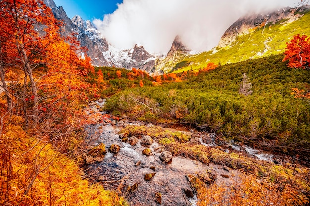 Hiking in national park high tatras hiiking from white lake to\
green lake in the mountain landscape zelene pleso slovakia