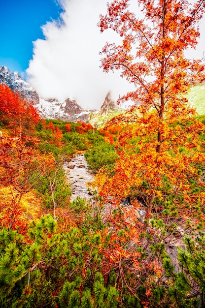 Hiking in national park high tatras hiiking from white lake to
green lake in the mountain landscape zelene pleso slovakia