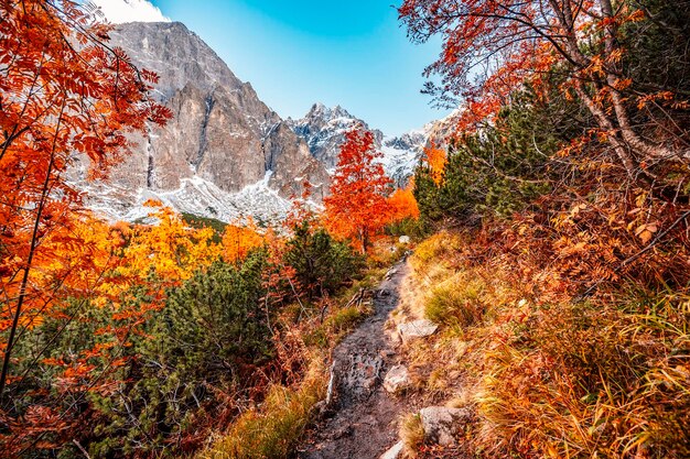 Hiking in national park high tatras hiiking from white lake to\
green lake in the mountain landscape zelene pleso slovakia