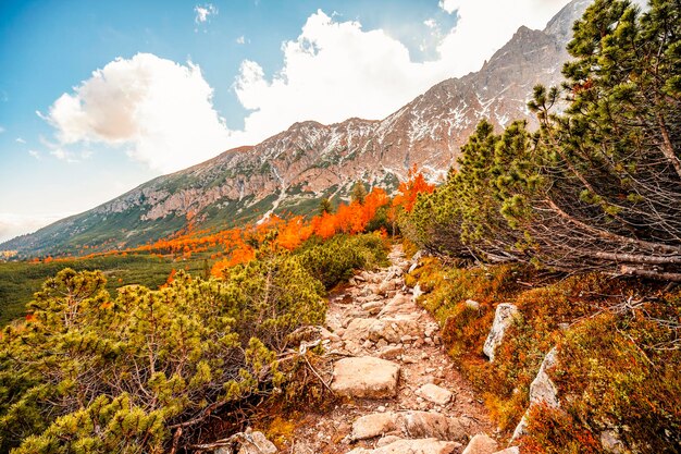 Hiking in national park high tatras hiiking from white lake to\
green lake in the mountain landscape zelene pleso slovakia