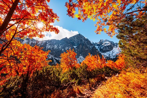 Hiking in national park high tatras hiiking from white lake to\
green lake in the mountain landscape zelene pleso slovakia