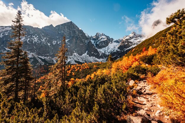 Hiking in national park high tatras hiiking from white lake to\
green lake in the mountain landscape zelene pleso slovakia