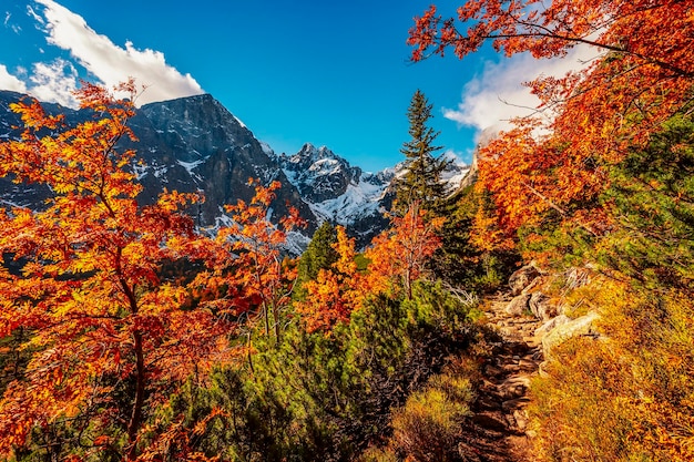 Hiking in national park high tatras hiiking from white lake to
green lake in the mountain landscape zelene pleso slovakia