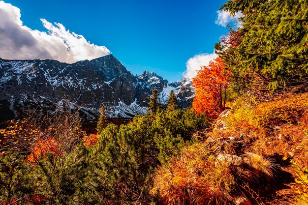 Hiking in national park high tatras hiiking from white lake to green lake in the mountain landscape zelene pleso slovakia