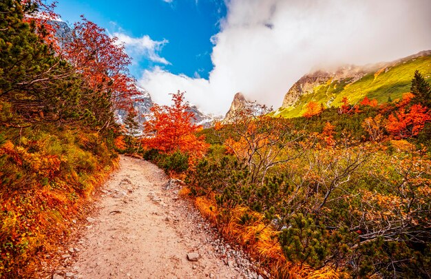 Hiking in national park high tatras hiiking from white lake to\
green lake in the mountain landscape zelene pleso slovakia