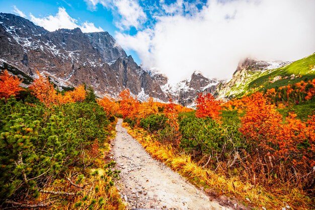 Hiking in national park high tatras hiiking from white lake to\
green lake in the mountain landscape zelene pleso slovakia