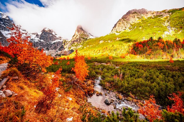 Hiking in national park high tatras hiiking from white lake to\
green lake in the mountain landscape zelene pleso slovakia