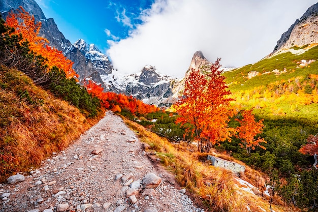 Hiking in national park high tatras hiiking from white lake to\
green lake in the mountain landscape zelene pleso slovakia