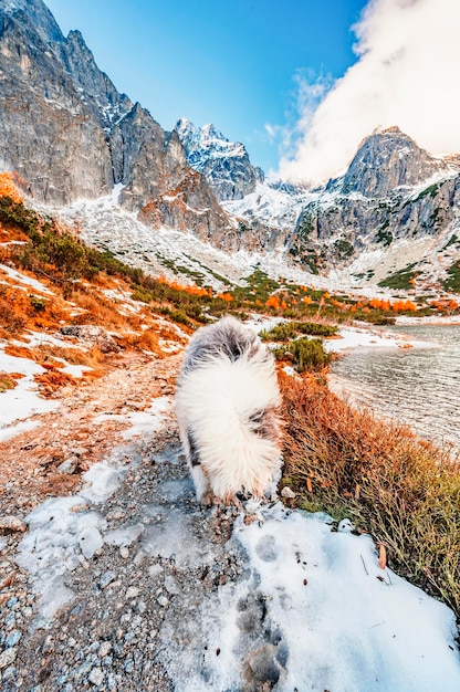 Hiking in national park high tatras hiiking from white lake to\
green lake in the mountain landscape zelene pleso slovakia