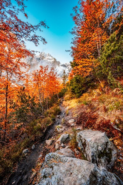 Hiking in national park High Tatras HiIking from white lake to Green lake in the mountain landscape Zelene pleso Slovakia