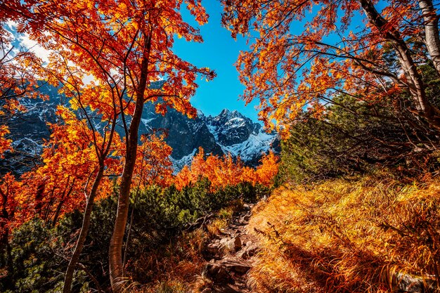 Hiking in national park high tatras hiiking from white lake to\
green lake in the mountain landscape zelene pleso slovakia