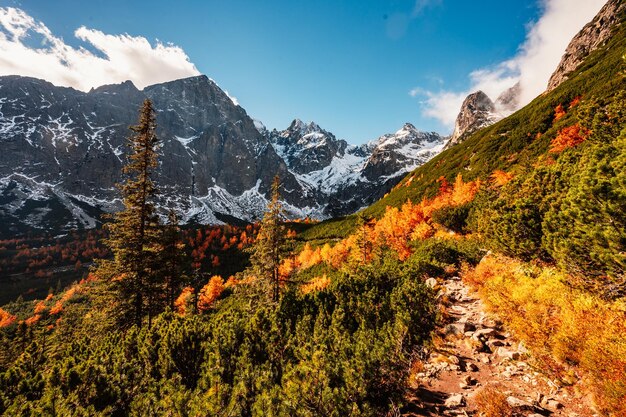 Hiking in national park high tatras hiiking from white lake to\
green lake in the mountain landscape zelene pleso slovakia