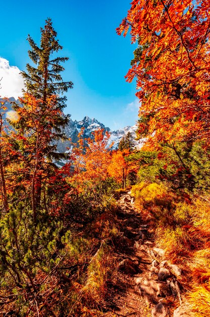 Hiking in national park high tatras hiiking from white lake to
green lake in the mountain landscape zelene pleso slovakia