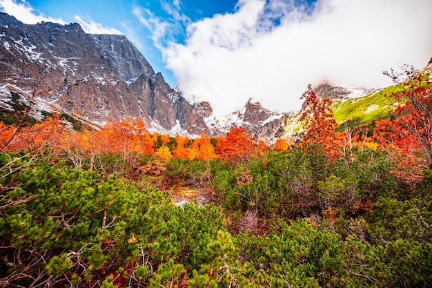 Hiking in national park high tatras hiiking from white lake to green lake in the mountain landscape zelene pleso slovakia