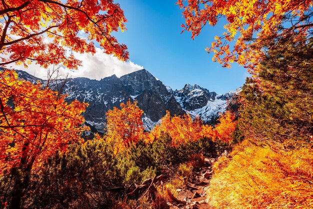 Hiking in national park high tatras hiiking from white lake to\
green lake in the mountain landscape zelene pleso slovakia