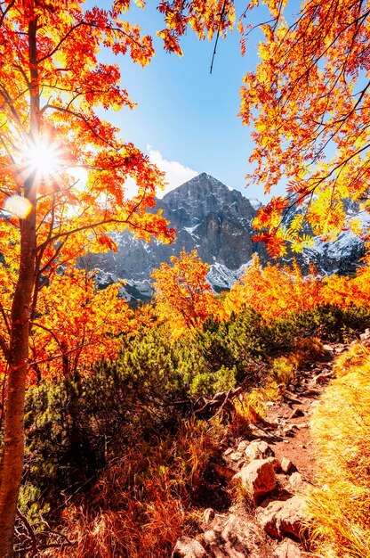 Hiking in national park high tatras hiiking from white lake to
green lake in the mountain landscape zelene pleso slovakia