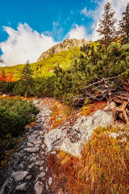 Hiking in national park high tatras hiiking from white lake to\
green lake in the mountain landscape zelene pleso slovakia