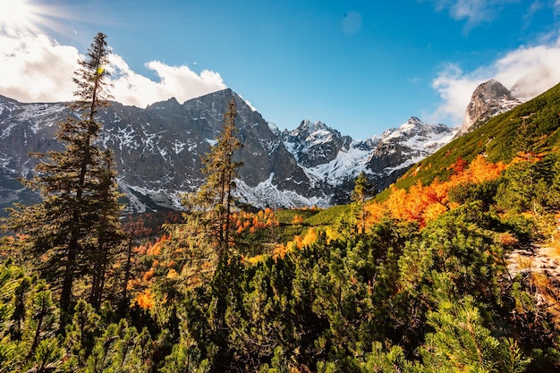 Hiking in national park high tatras hiiking from white lake to\
green lake in the mountain landscape zelene pleso slovakia