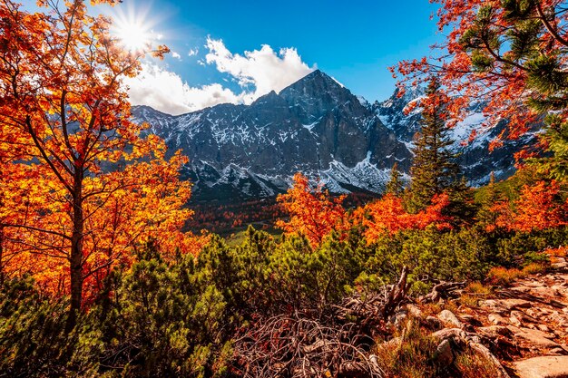 Hiking in national park high tatras hiiking from white lake to
green lake in the mountain landscape zelene pleso slovakia