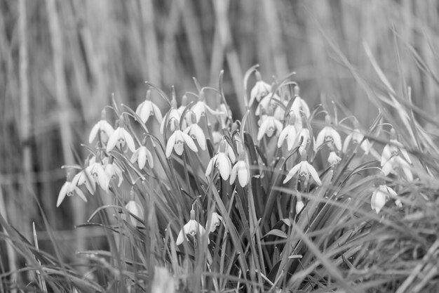 Photo hiking near barlo