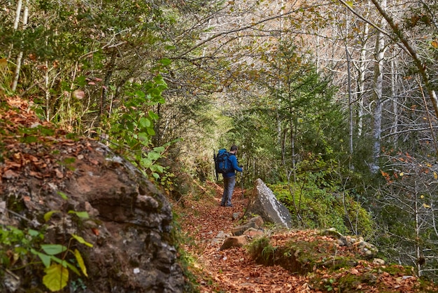 Hiking in the Ordesa National Park