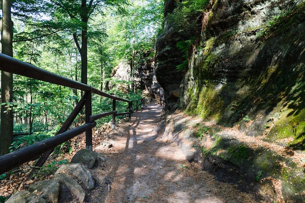 Hiking path in the mountains of Bohemian Switzerland National Park, Czech Republic