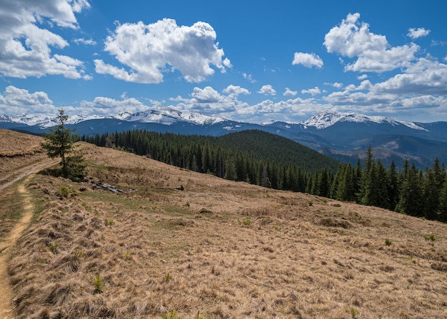 Photo hiking path on spring carpathian mountain plateau ukraine