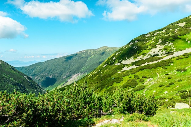 Hiking path in west Tatras during summer with nice views Ziarska valley liptov region Slovakia