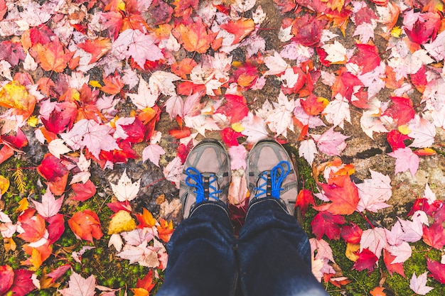 Hiking shoes with red leaves all around