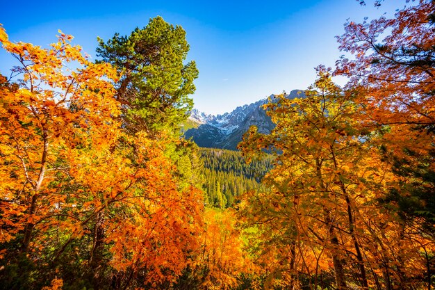 Hiking Strbske lake to popradske lake very popular hiking destination in High Tatras National park Slovakia Autumn color nature