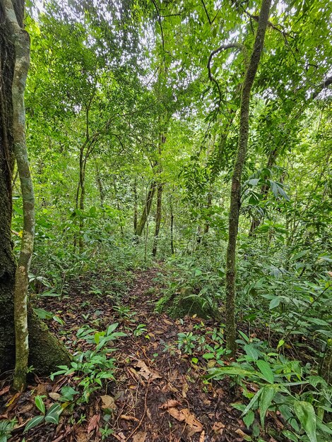 Hiking through mountains and waterfalls in Chiriqui