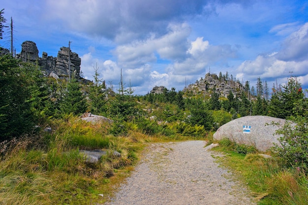 Hiking trail in the bavarian forest